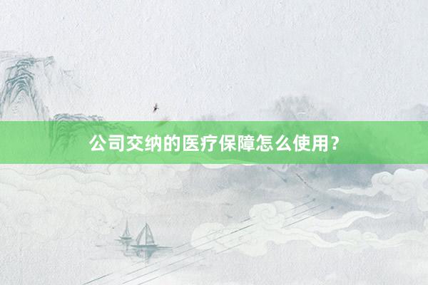 公司交纳的医疗保障怎么使用？
