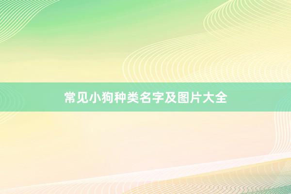 常见小狗种类名字及图片大全