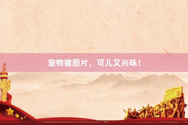 宠物猪图片，可儿又兴味！