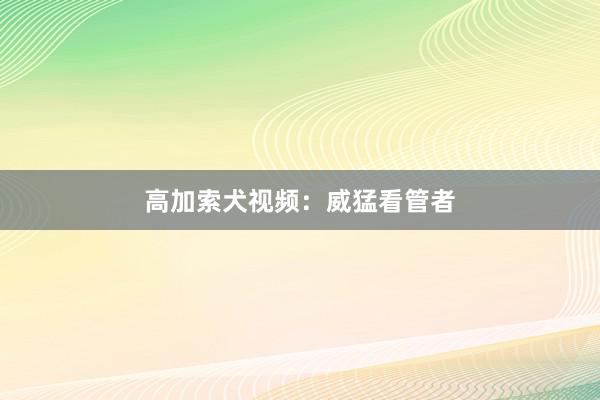 高加索犬视频：威猛看管者